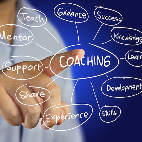 Coaching Executives for Business Development Success – RESET